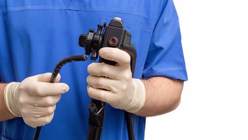 Endoscopie bij hond en kat